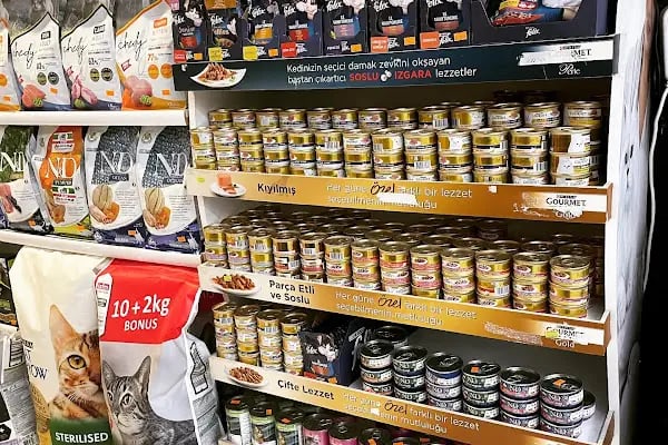 City PetShop -Kedi Köpek Kuş Balık Kaplumbağa Ginepig Tavşan Papağan Scottih Fold British - Resim 17