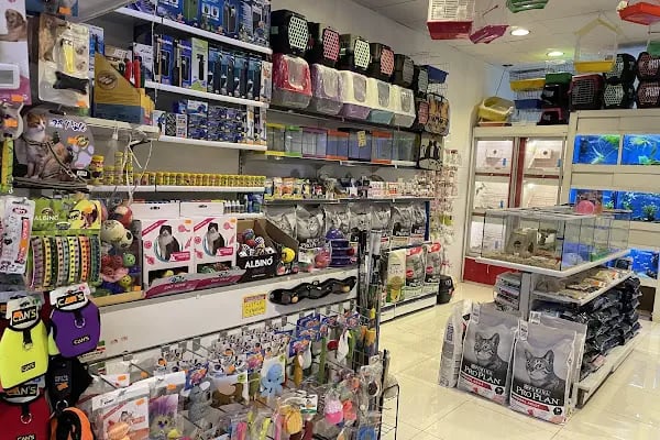 City PetShop -Kedi Köpek Kuş Balık Kaplumbağa Ginepig Tavşan Papağan Scottih Fold British - Resim 12