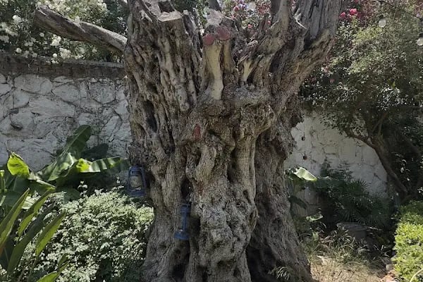 Van Kahvaltı Lounge Bodrum Bitez - Resim 7