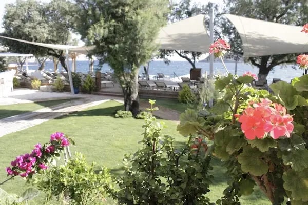 Ga'u Antique Gallery, Cafe-bistro, Bar - Resim 8