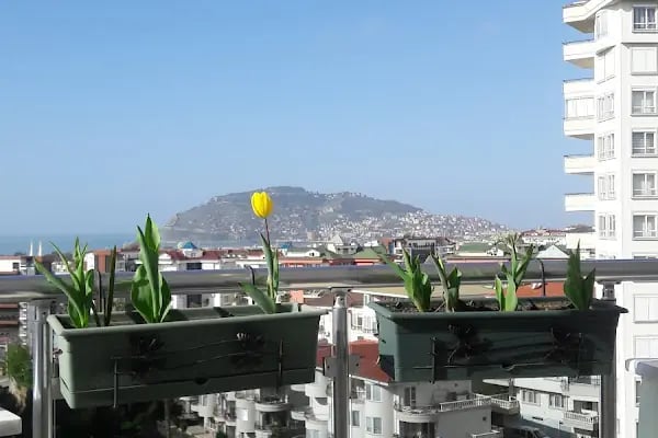 Nature 1 Sitesi - Resim 18