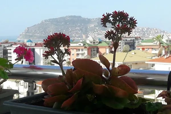 Nature 1 Sitesi - Resim 15