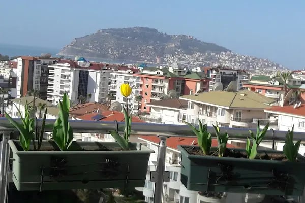 Nature 1 Sitesi - Resim 3