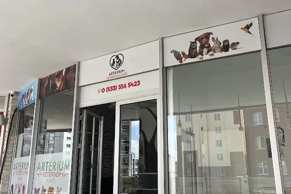ARTERİUM BAŞAKŞEHİR VETERİNER KLİNİĞİ - Resim 8