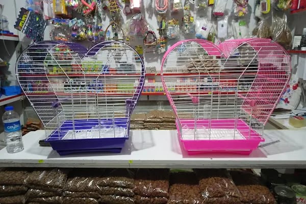 Evcil Petshop Bucak - Resim 6