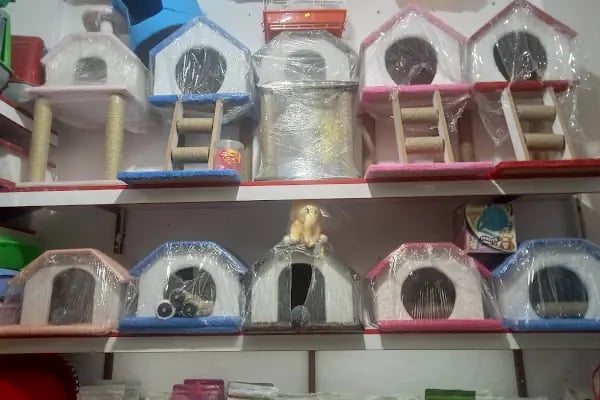 Evcil Petshop Bucak - Resim 3