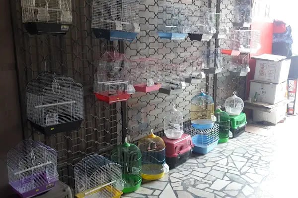 Evcil Petshop Bucak - Resim 19