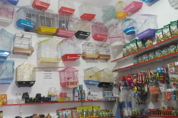 Evcil Petshop Bucak - Resim 18