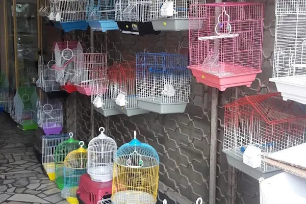 Evcil Petshop Bucak - Resim 14