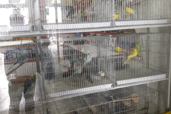 Evcil Petshop Bucak - Resim 16
