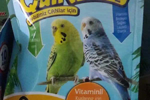 Evcil Petshop Bucak - Resim 9