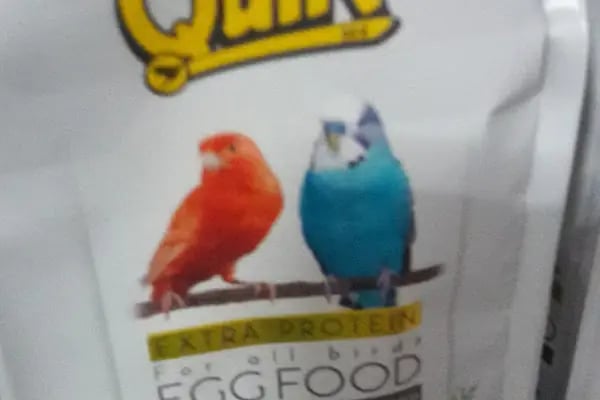 Evcil Petshop Bucak - Resim 20