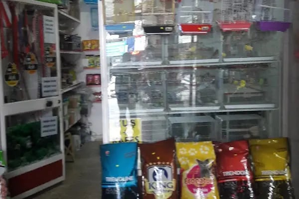 Evcil Petshop Bucak - Resim 8