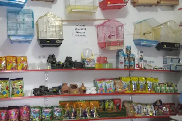 Evcil Petshop Bucak - Resim 15