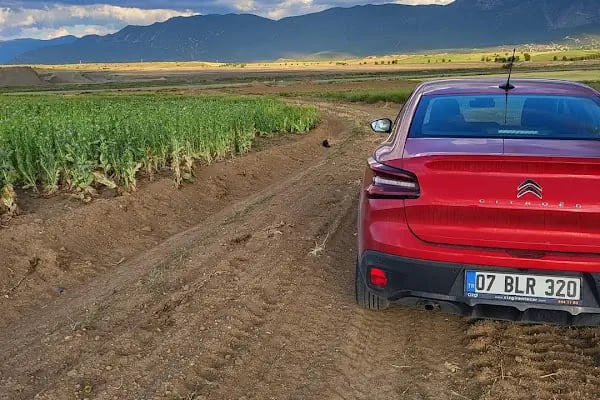 Cizgi rent a car Antalya Havalimanı - Resim 5