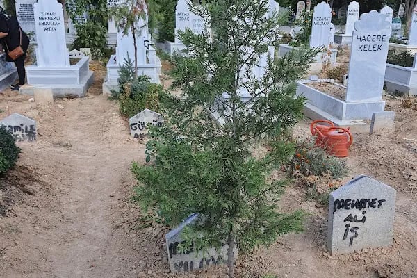 Seyit Şahin Mezarlığı - Resim 3