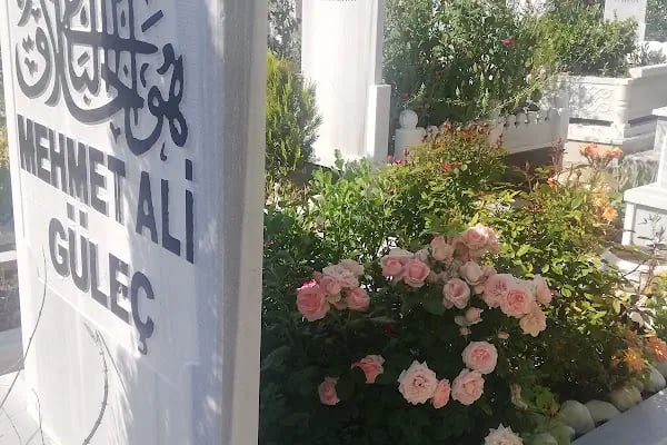 Seyit Şahin Mezarlığı - Resim 15