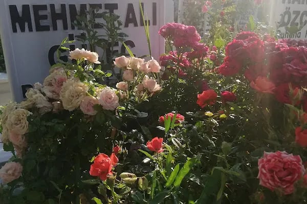 Seyit Şahin Mezarlığı - Resim 14