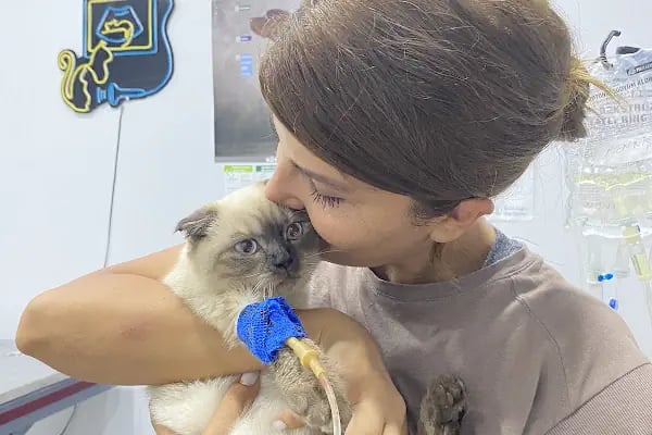Vets&amp;Pets Veteriner Kliniği-Şebnem Beşevlek - Resim 16