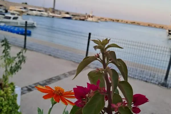 Deniz Suyu Marina Balık Restaurant - Resim 11