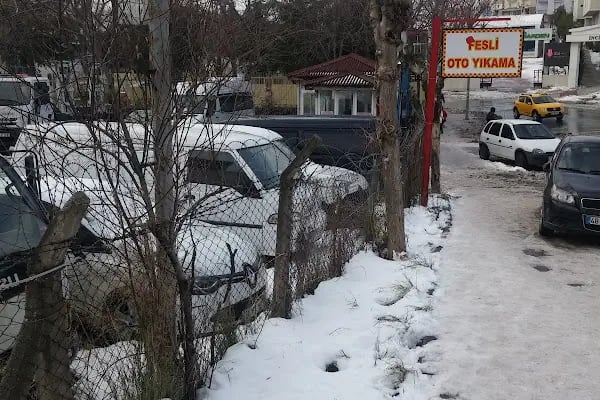 Feslipaşa Otomotiv Ve Otopark - Resim 4