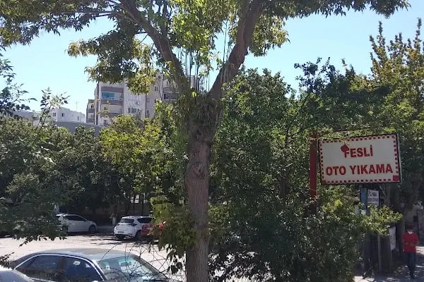 Feslipaşa Otomotiv Ve Otopark - Resim 12