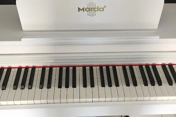 Music house Store Mahmutlar Bağlama Gitar Keman Piyano Şan dersi ve Konservatuvar hazırlık Eğitimi ve Enstrüman satışı - Resim 9