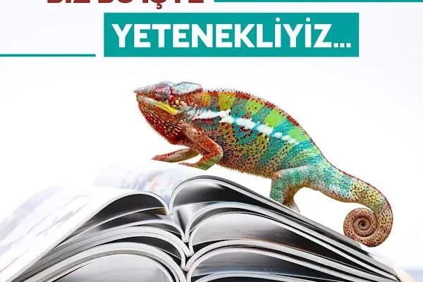 Ankara Berk Ofset Matbaa Kutu Ambalaj - Resim 12