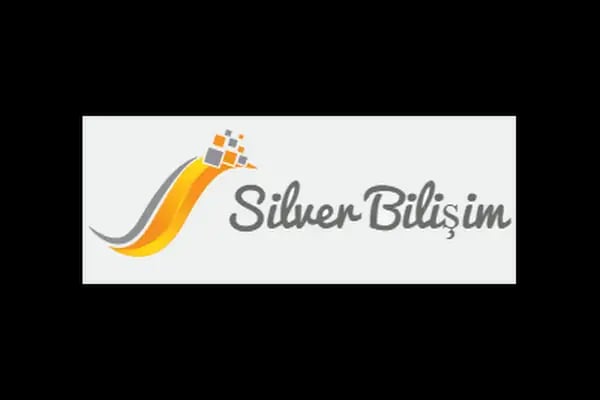 Web Tasarım ve Seo Hizmetleri | Silver Bilişim - Resim 4