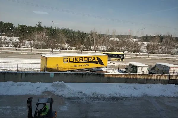 Gokbora Uluslararasi Nakliyat - Resim 5