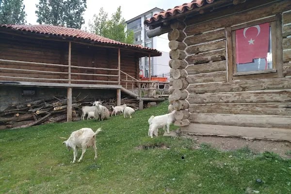 Altınköy Konağı - Resim 10