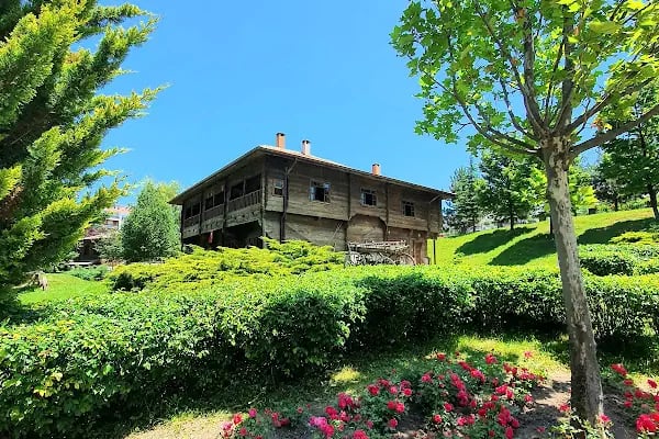 Altınköy Konağı - Resim 19