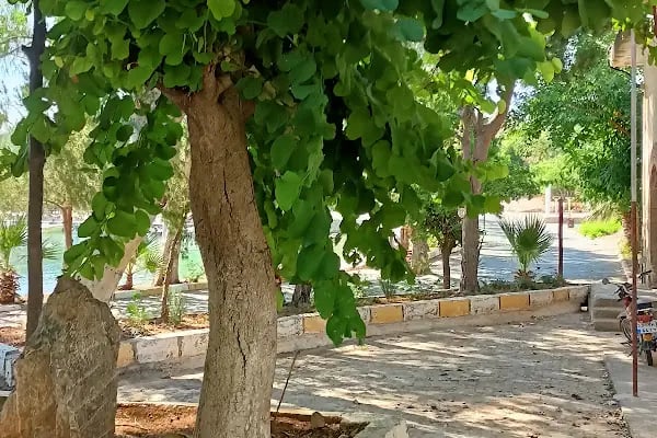 Ünlü Konaklama Kafe - Resim 5