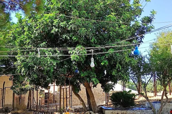 Ünlü Konaklama Kafe - Resim 10