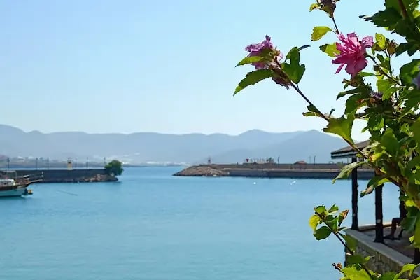 Ünlü Konaklama Kafe - Resim 19