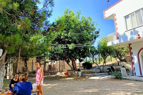 Ünlü Konaklama Kafe - Resim 12