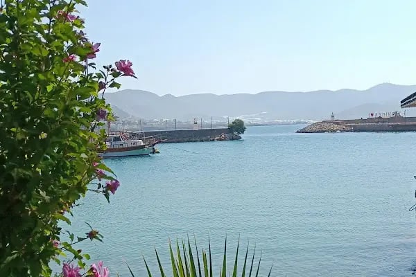 Ünlü Konaklama Kafe - Resim 14