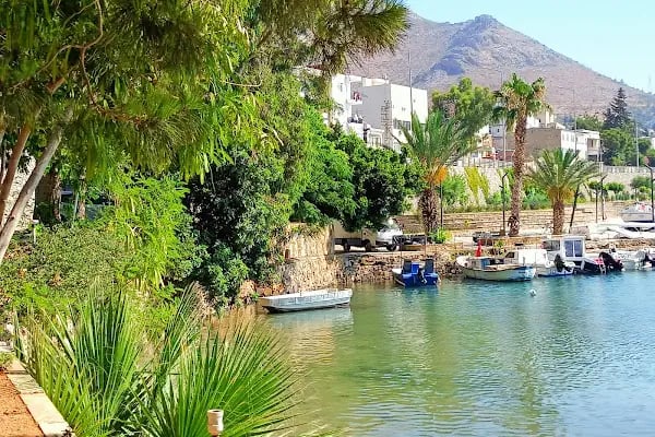 Ünlü Konaklama Kafe - Resim 20