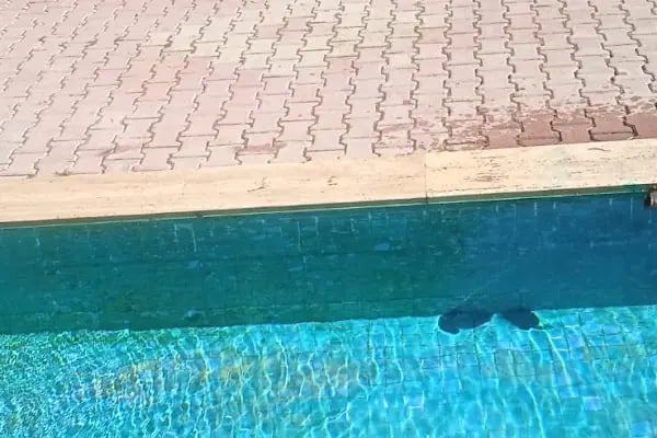 LAVİLLA APART EVLER - Resim 4
