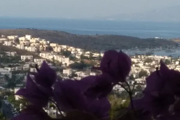 Begonvil Sitesi - Resim 6