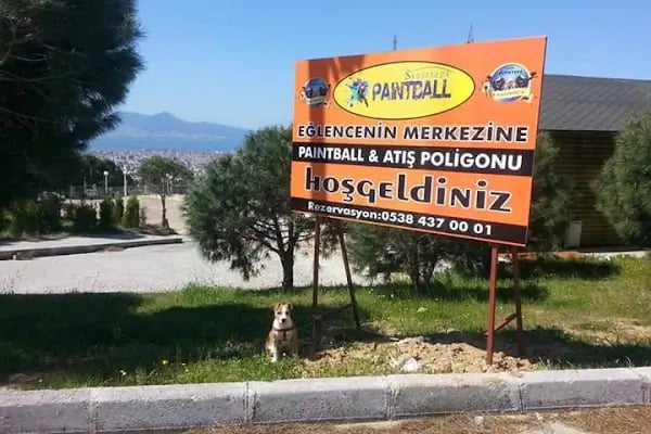 Seyirtepe Paintball (Biraders) - Resim 20