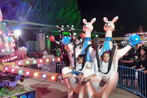 Altınpark Go-kart - Resim 18