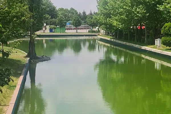 Altınpark Go-kart - Resim 13