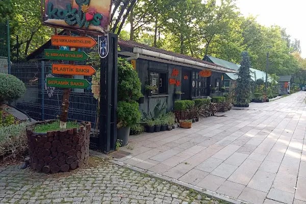 Altınpark Go-kart - Resim 15