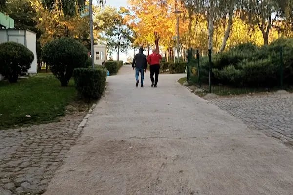 Altınpark Go-kart - Resim 9