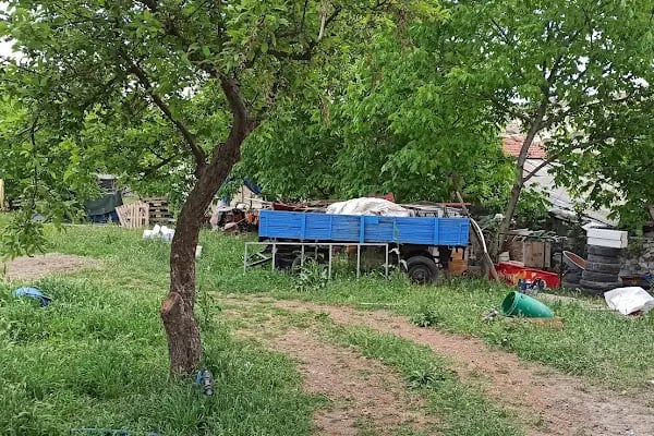 Pınaryaka Köyü Cami - Resim 3