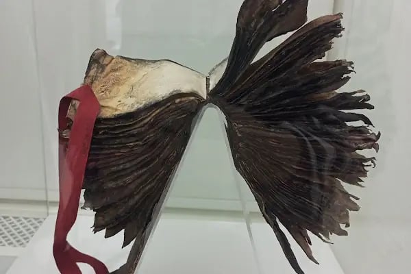 Ege Üniversitesi Kağıt ve Kitap Sanatları Müzesi - Resim 17