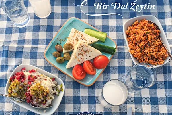 Bodrum Müdavim - Resim 11