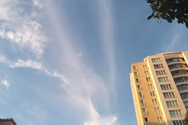 Meskenler Parkı - Resim 9