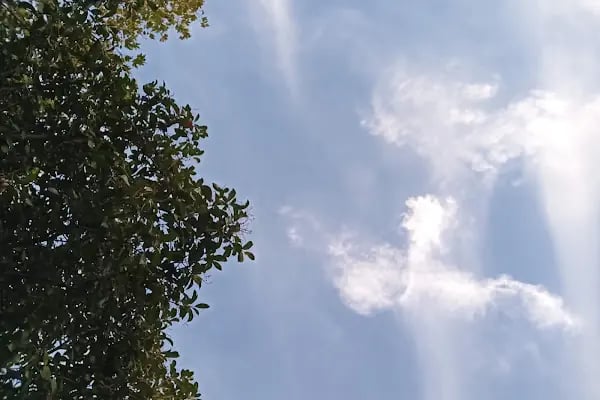 Meskenler Parkı - Resim 7
